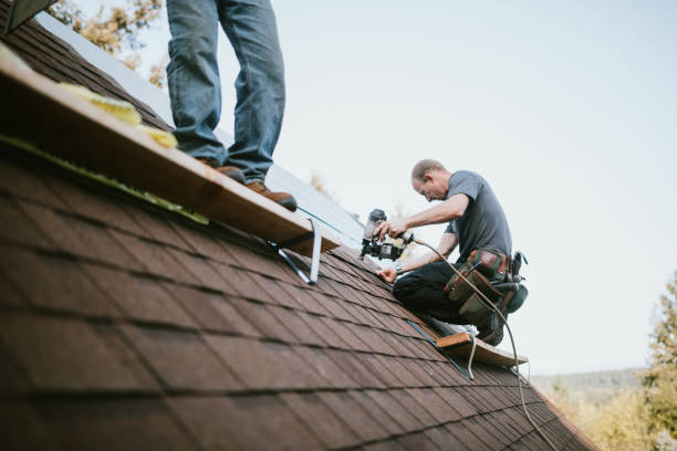 Best Storm Damage Roof Repair  in Somerville, TX